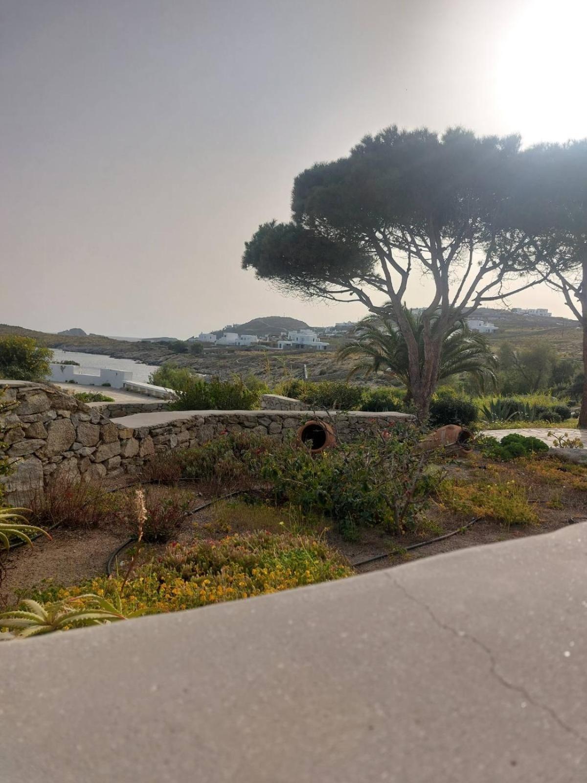 הוילה אורנוס Mykonian House With Shared Pool מראה חיצוני תמונה