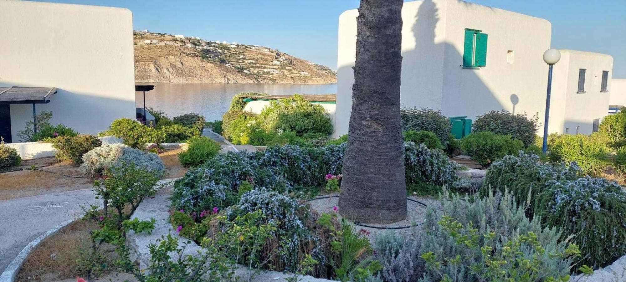 הוילה אורנוס Mykonian House With Shared Pool מראה חיצוני תמונה